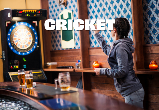 Cricket dart game